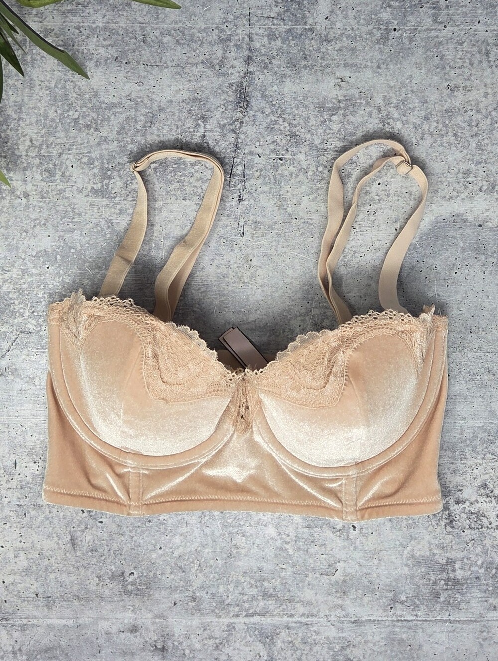 Victoria's Secret Dream Angels Beige Velvet Longline Bra Lace Trim Size 32DD